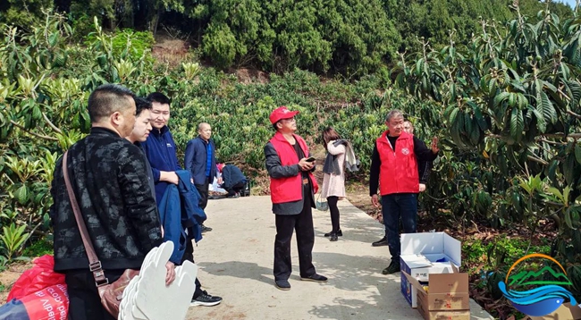 柿子种植_种柿子赚钱吗_柿子种植农户致富