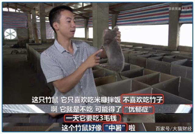 视频致富经_果子哥哥方言搞笑视频_央视致富经果子狸视频