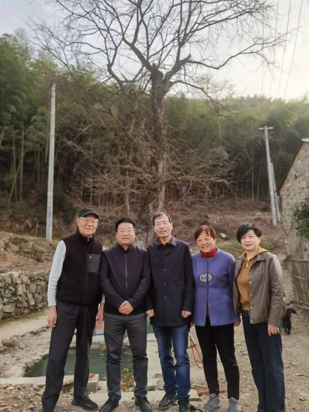 大棚樱桃种植成功致富案例_年种植什么赚钱种植致富项_东至种植致富树