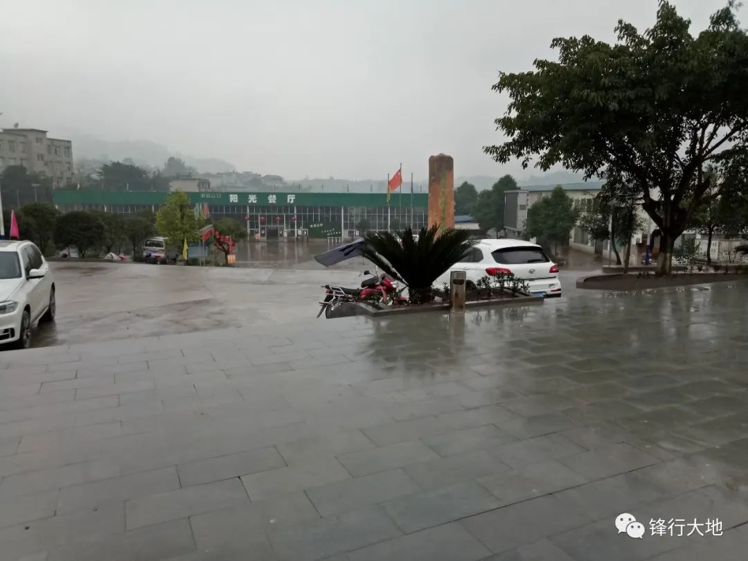 致富经阳海林_致富经李海林_李海洋致富经