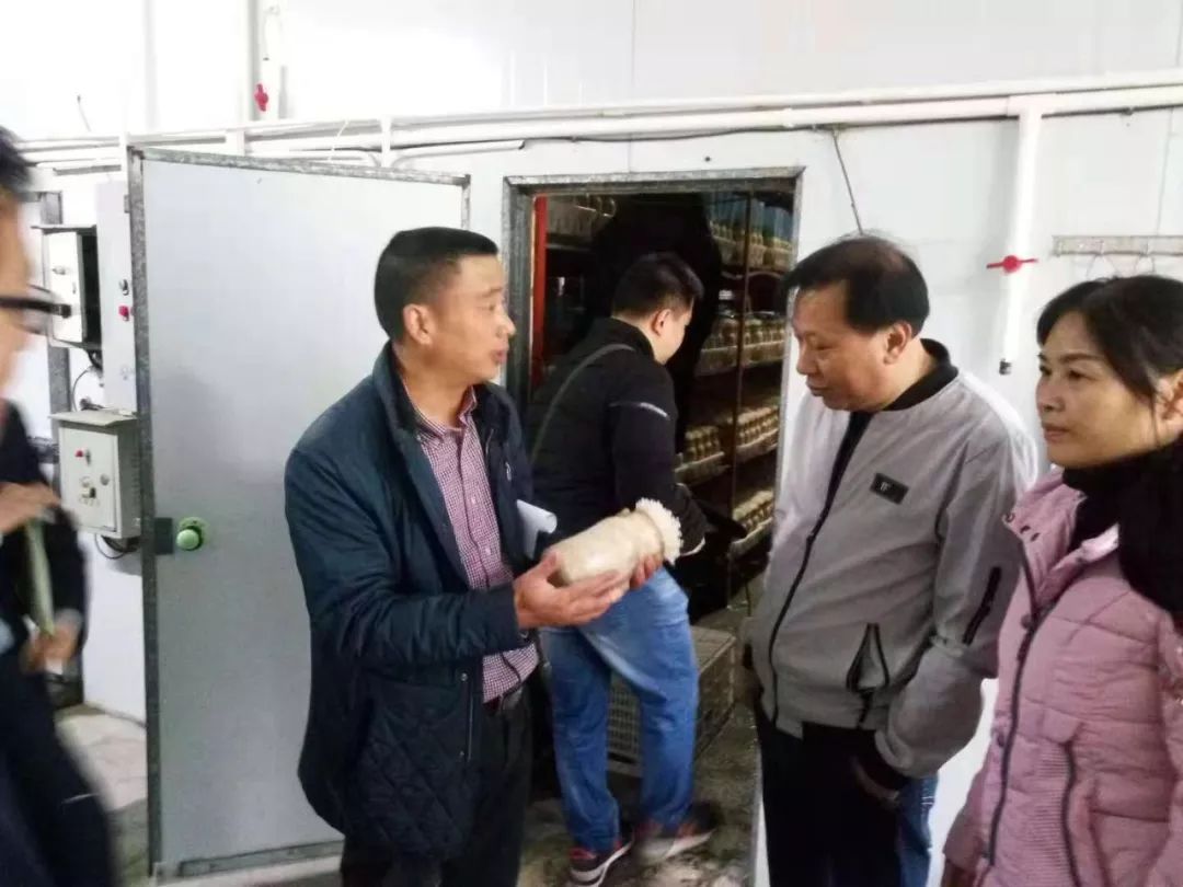大棚种藕有哪些优势_大棚莲藕种植效益和投入_大棚种植莲藕技术视频