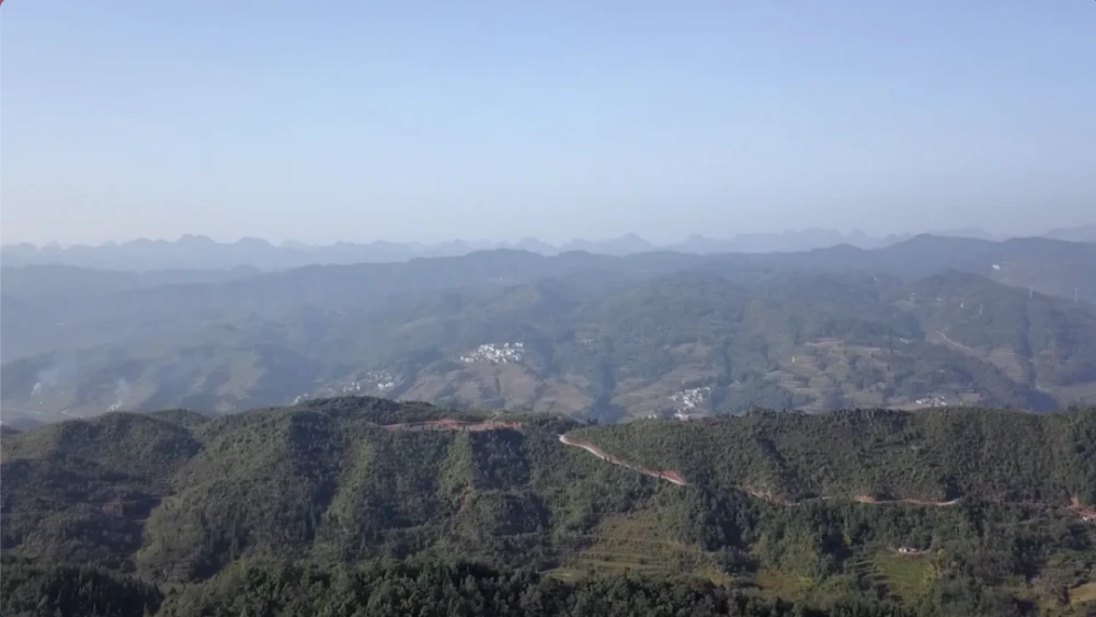 “无中生有”种蘑菇 贫困山区致富路