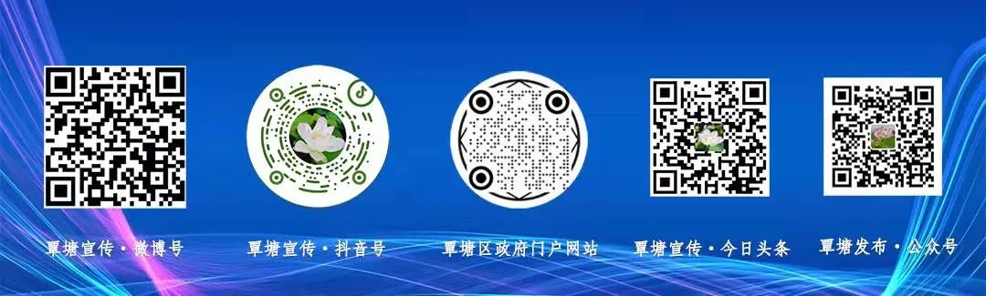 水仙种植_水仙种植致富_水仙种植技术