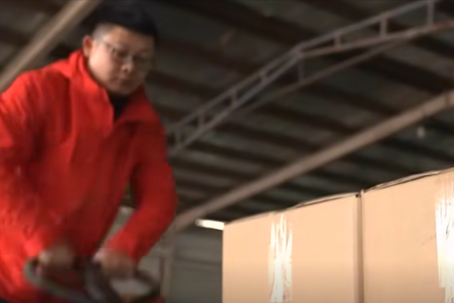 笋种植_竹笋致富经_致富笋种植视频