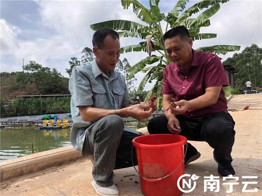 致富经龙虾能人_龙虾致富经_致富龙虾能人工养殖吗