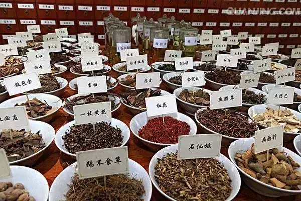 视频致富养殖黑豚是真的吗_致富经黑豚养殖视频_视频致富养殖黑豚鱼