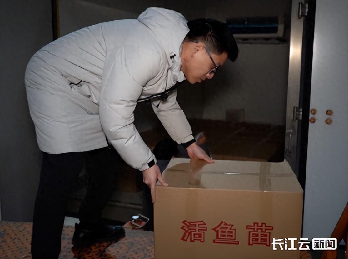存活率40%到80%，看这位湖北90后如何“鱼跃农门”