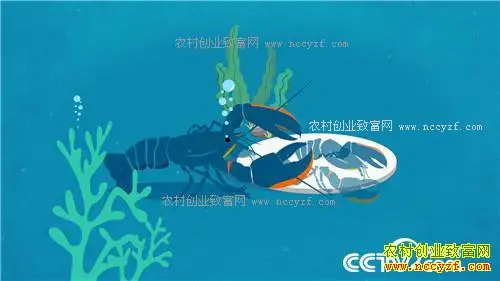 致富经：爱美男人遭遇蓝色诱惑之后(20170330)