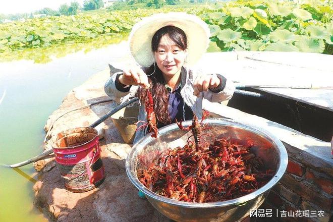 致富经藕虾套养_致富经莲藕套养龙虾_致富经莲藕套养小龙虾视频