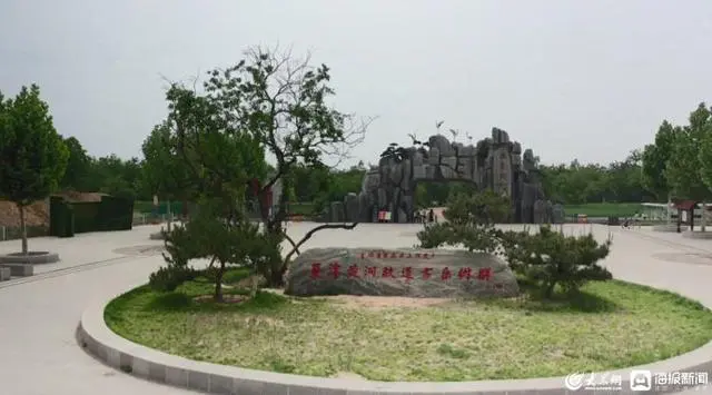 种植桑黄效益如何_种植桑黄能赚钱吗_桑黄种植致富