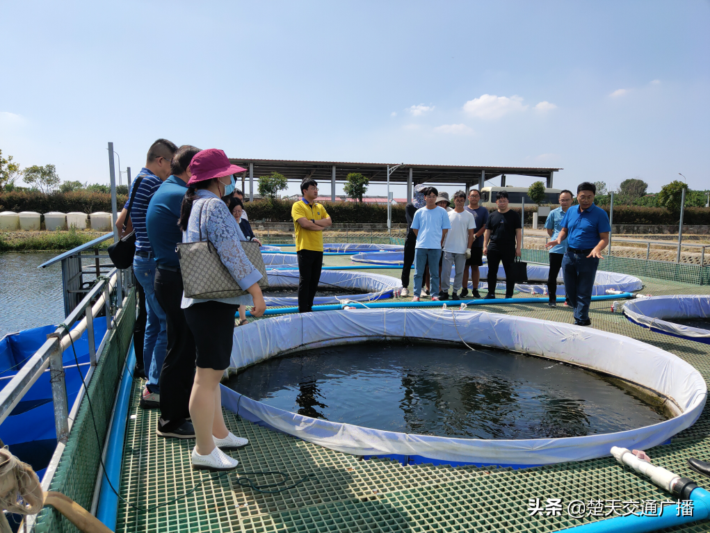 湖北水产养殖公司_武汉水产养殖培训基地_武汉水产养殖技术 v