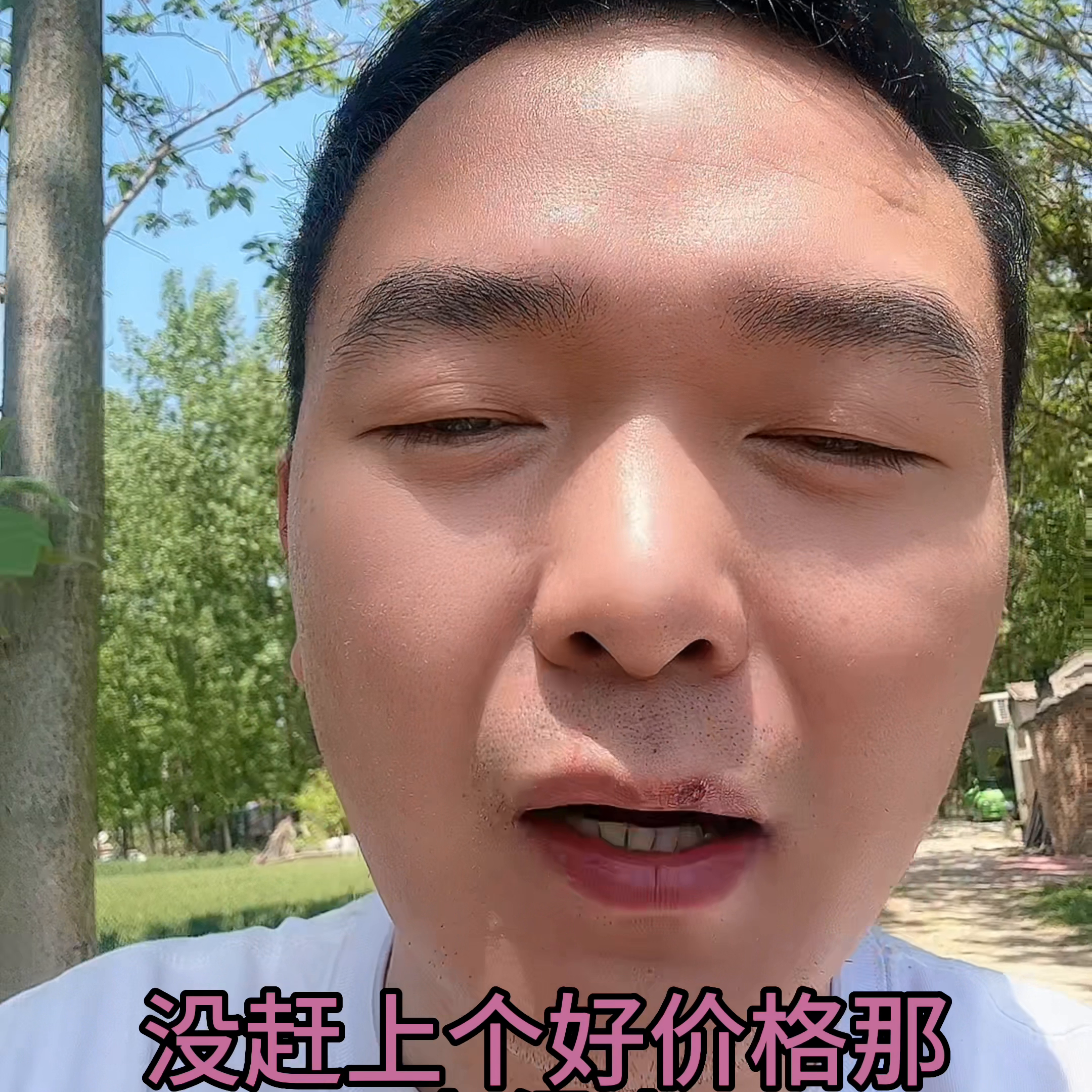 生猪养殖视频农广天地_养殖生猪技术指导视频播放_生猪养殖技术培训视频