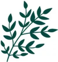 山东曹县黑水虻大王刘杰，专注黑水虻养殖12年
