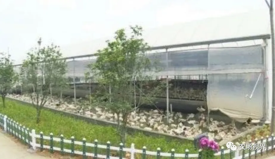 网床养殖技术_养殖网床设计图_养殖网床搭建
