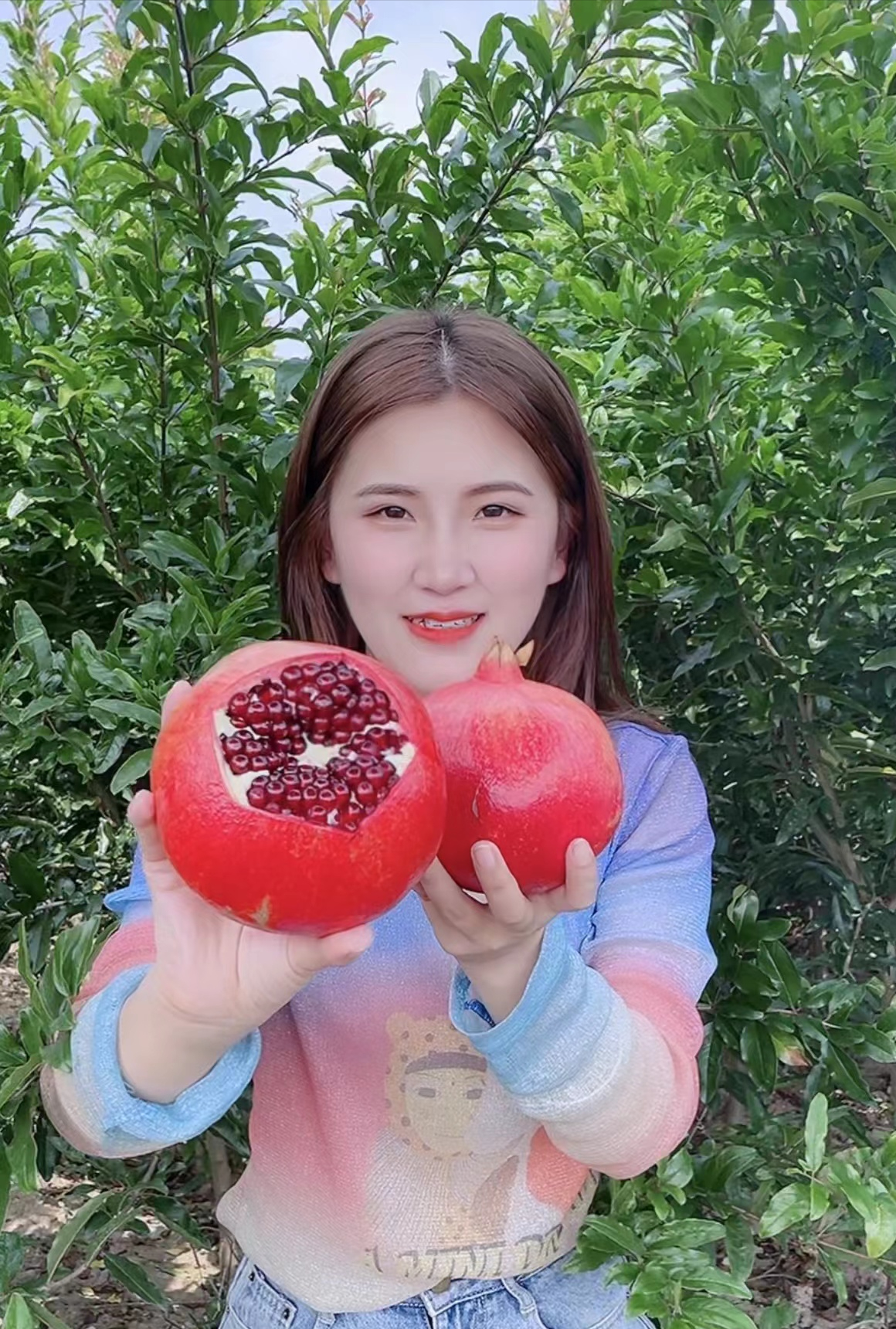 致富种植视频全集_种植果苗致富图片_致富种植图片果苗大全