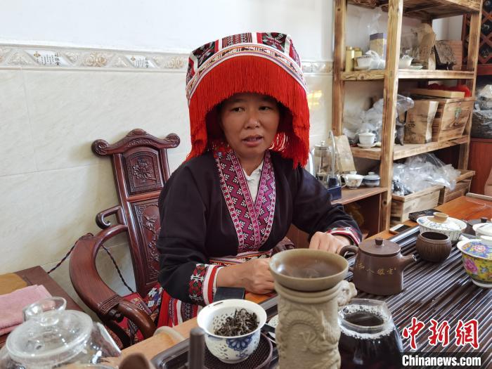 茶农致富_茶叶种植致富案例_种植茶叶创业计划书