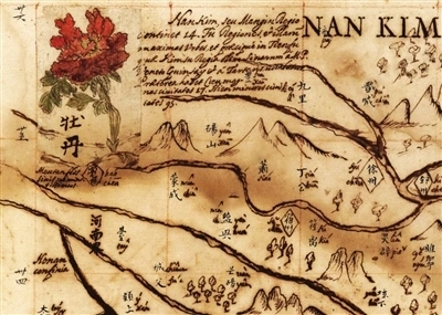 亳州种植基地_亳州种植什么_亳州种植致富
