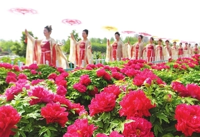 亳州种植致富_亳州种植什么_亳州种植基地