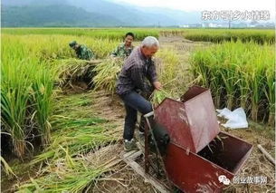 养殖冷门致富项目_致富养殖冷门项目有哪些_致富养殖冷门项目名称