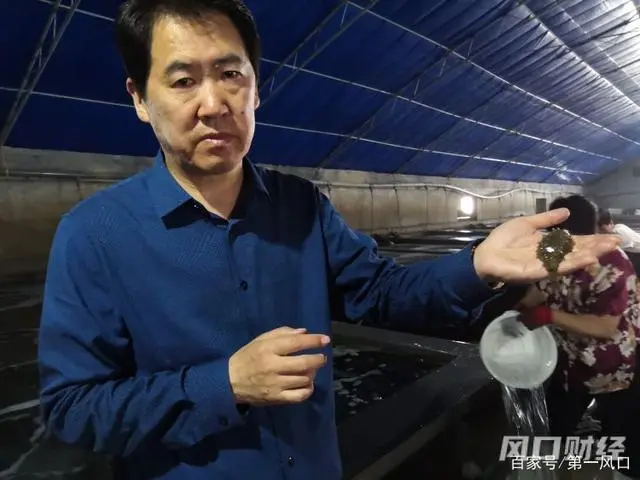 养殖国外综合技术发展现状_养殖国外综合技术研究现状_国外综合养殖技术