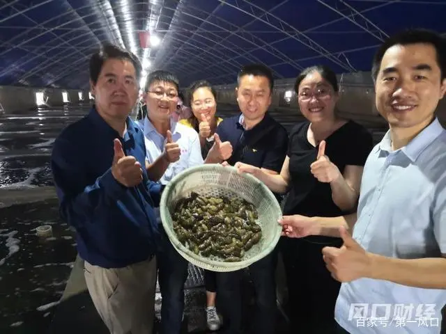 养殖国外综合技术发展现状_国外综合养殖技术_养殖国外综合技术研究现状