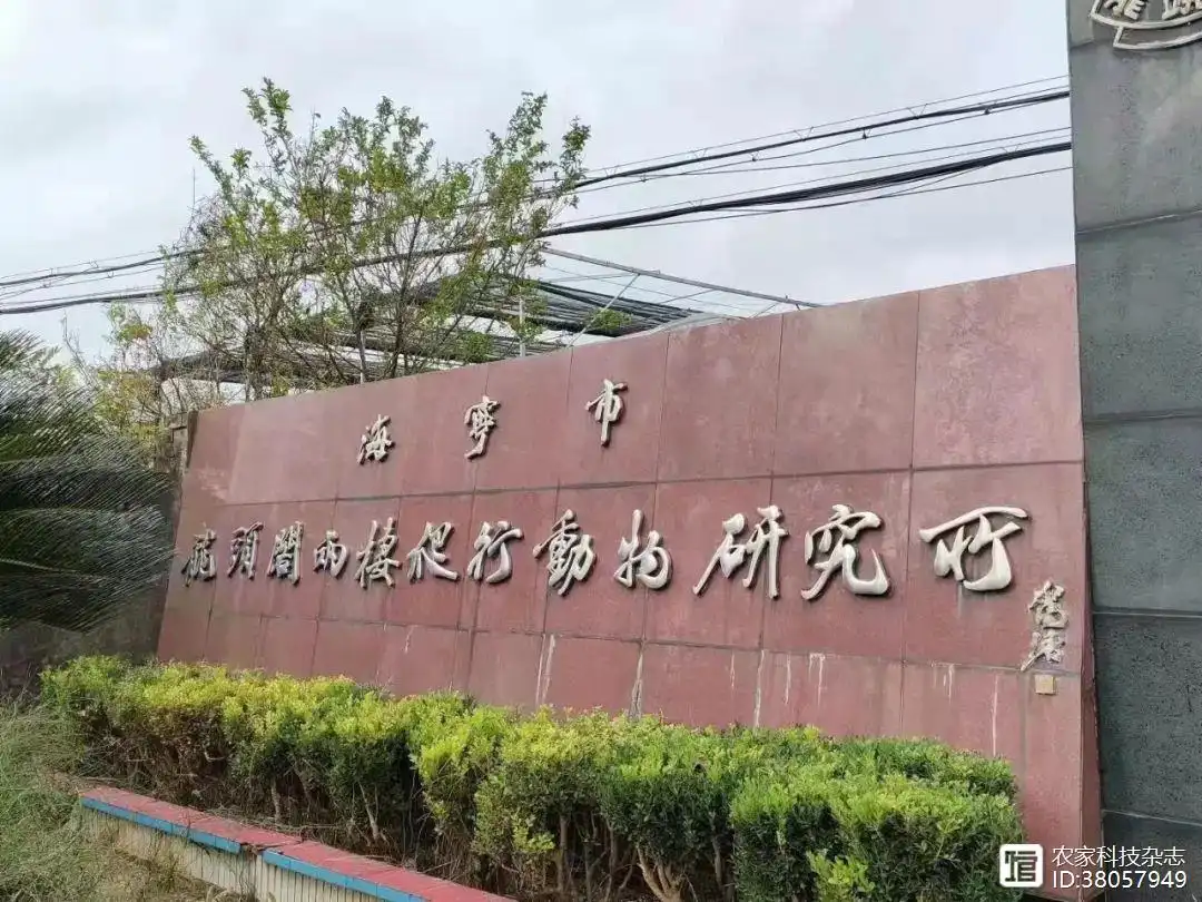 癞蛤蟆养殖技术_癞蛤蟆养殖技术_癞蛤蟆养殖技术
