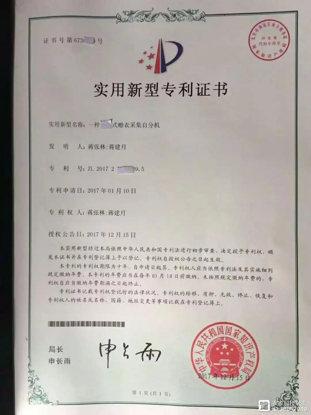 癞蛤蟆养殖技术_癞蛤蟆养殖技术_癞蛤蟆养殖技术