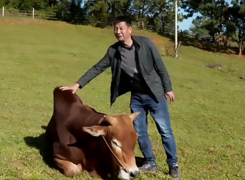 有关云南的致富经故事_云南致富带头人_致富经云南