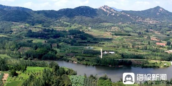 农民致富经 种植树_种树致富全部视频_农村种植致富