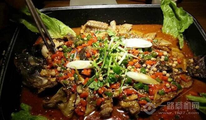 致富经鱼鲜菜种植视频_致富经鱼菜共养_鱼菜养殖成功案例