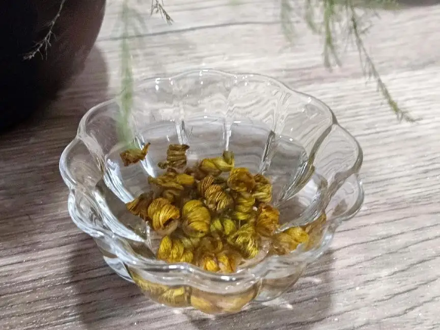 种植铁皮石斛技术与管理_种植铁皮石斛技术要点_铁皮石斛如何种植技术