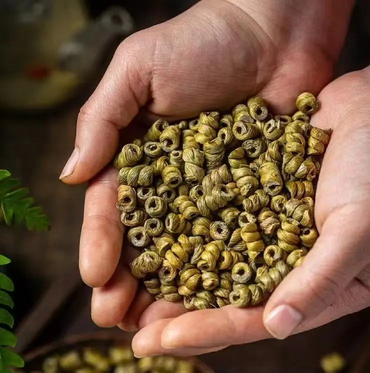种植铁皮石斛技术要点_铁皮石斛如何种植技术_种植铁皮石斛技术要求