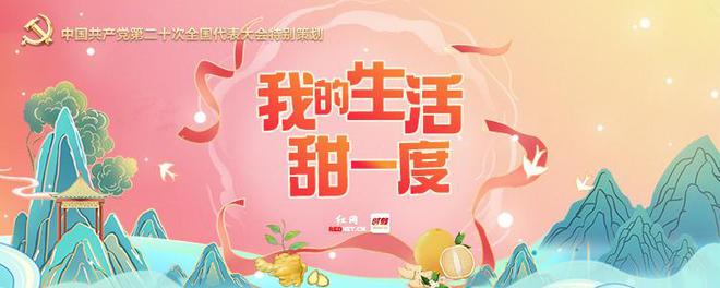 种姜致富骗局_致富经生姜种植技术视频_致富经种姜