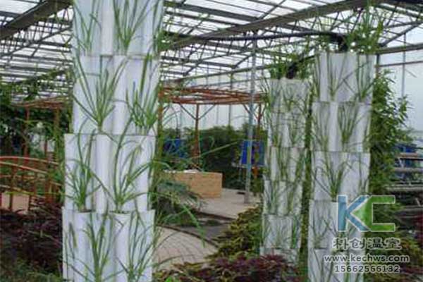 韭菜种植技术与栽培_韭菜种植技术视频和高产_种植韭菜的技术