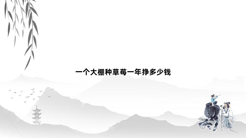 一个大棚种草莓一年挣多少钱