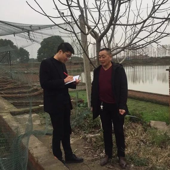 致富经龟类养殖_致富经养龟_养龟养殖致富