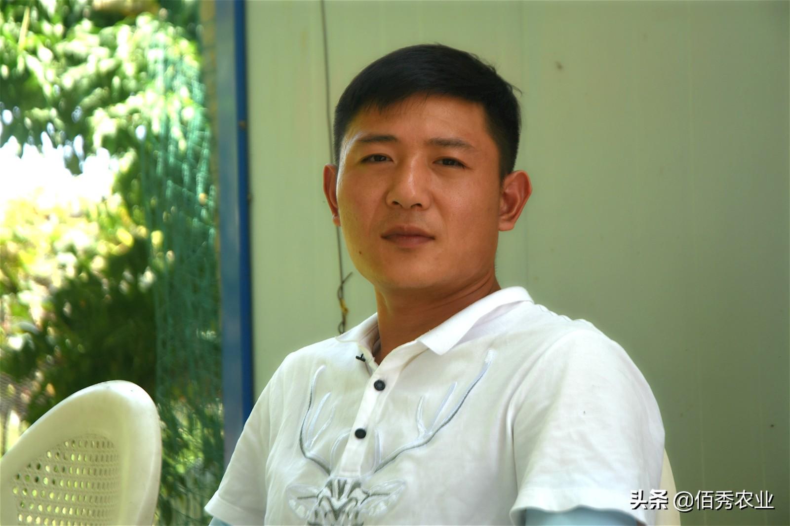 果树种植致富经_果树 种植 致富_致富果树种植方法