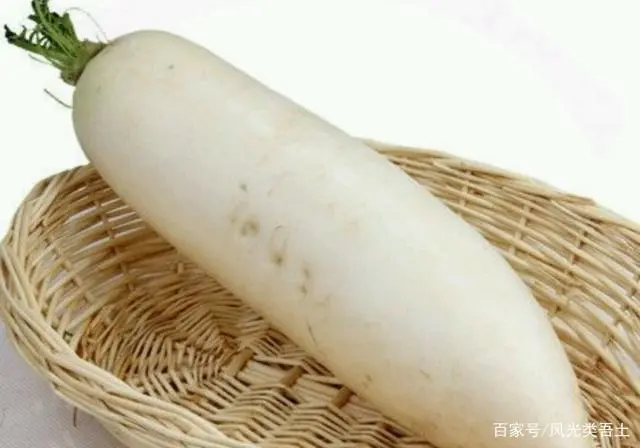 竹荪冬季种植技术_冬季种植竹荪技术要点_竹荪种植时间