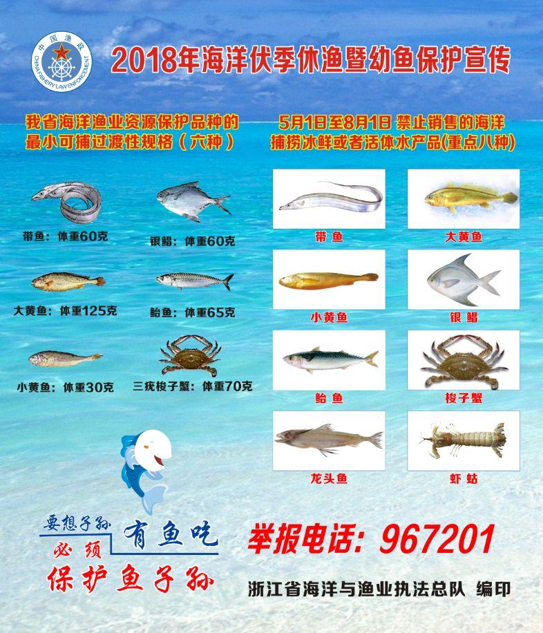 马头鱼是养殖的还是野生的_马头鱼养殖技术_马头鱼活体