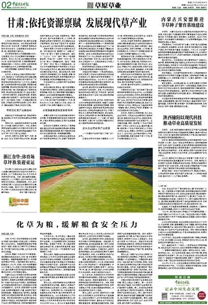 张掖种植业_甘肃张掖种植致富_甘肃张掖种植什么作物