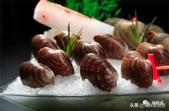 马头鱼观赏鱼_马头鱼养殖技术_马头鱼活体