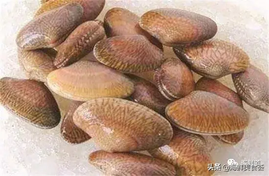 马头鱼观赏鱼_马头鱼养殖技术_马头鱼活体