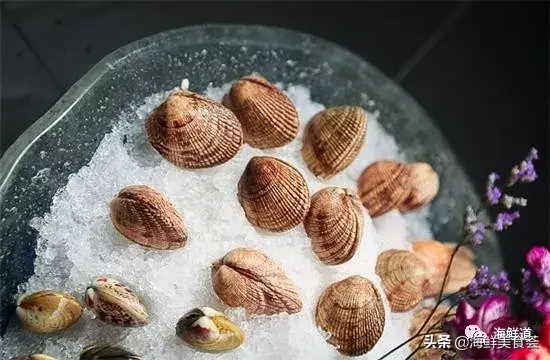 马头鱼活体_马头鱼观赏鱼_马头鱼养殖技术
