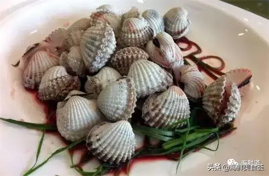 马头鱼活体_马头鱼观赏鱼_马头鱼养殖技术