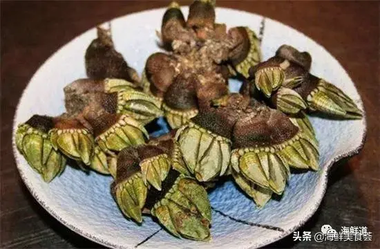 马头鱼养殖技术_马头鱼活体_马头鱼观赏鱼