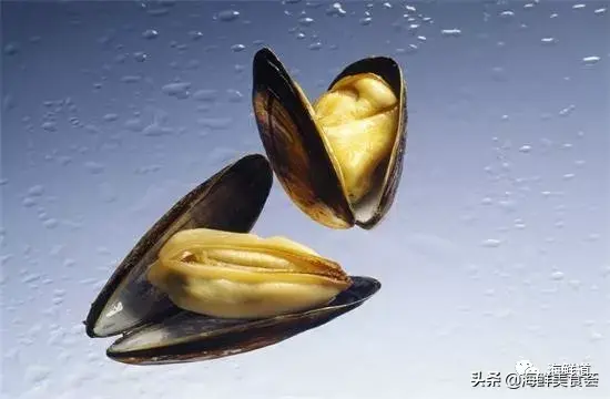 马头鱼观赏鱼_马头鱼养殖技术_马头鱼活体