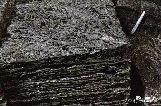 马头鱼活体_马头鱼养殖技术_马头鱼观赏鱼
