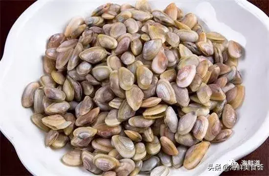 马头鱼观赏鱼_马头鱼养殖技术_马头鱼活体
