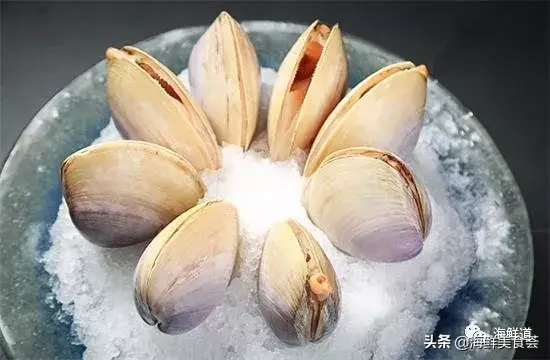 马头鱼活体_马头鱼观赏鱼_马头鱼养殖技术