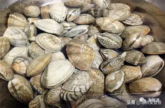 马头鱼观赏鱼_马头鱼养殖技术_马头鱼活体